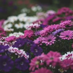 Modern apartment balcony garden with seating in Kuwait